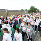 Race For the Cure; Part 2