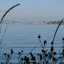 Seattle skyline from Blake Island Seattle skyline from Blake Island