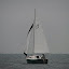 Braveheart sails downwind Braveheart sails downwind