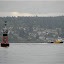 Toliva Shoal buoy and tugboat, Steilacoom in background Toliva Shoal buoy and tugboat, Steilacoom in background