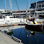 Whisper in Bell Harbor Marina (marina office in the gray-with-blue-trim building to the left in this photo)