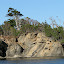 Eagle on North Finger Island