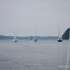 The fleet follows the channel out into Budd Inlet The fleet follows the channel out into Budd Inlet