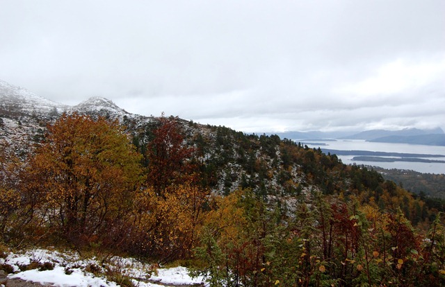 [DSC_0516[5].jpg]