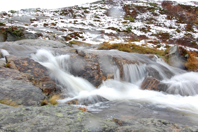 [DSC_0526[2].jpg]