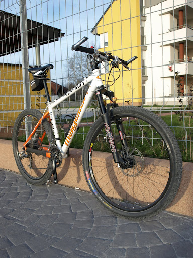 Feltöltött kép