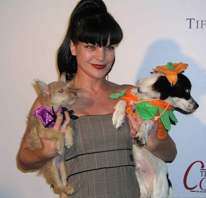 [Pauly and her dogs[7].jpg]
