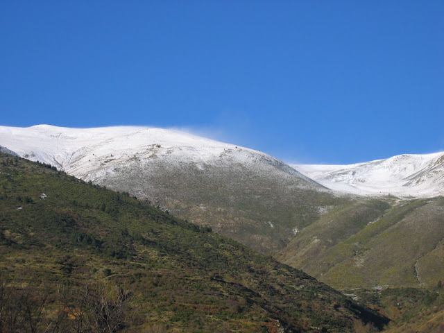 IMG_8012.JPG