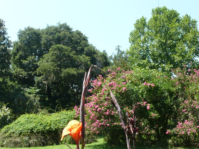 [P10306622.jpg]