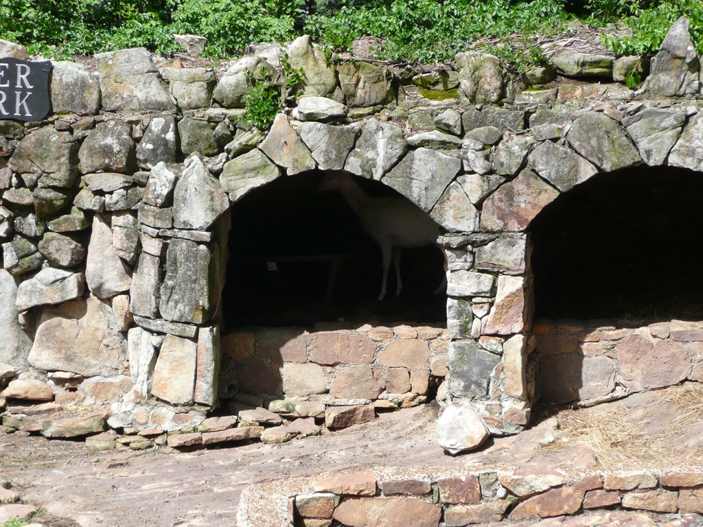 [P10803293.jpg]