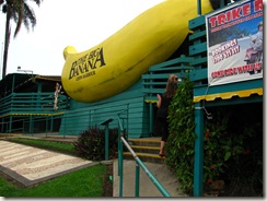 I didn't take any good photos of Surf Camp so here's a photo of the world's biggest banana instead.  That would make one massive smoothie... (click to enlarge)