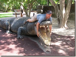 The one that got away.  This 6m long concrete croc proved too difficult for my croc wrangling skills (click to enlarge)