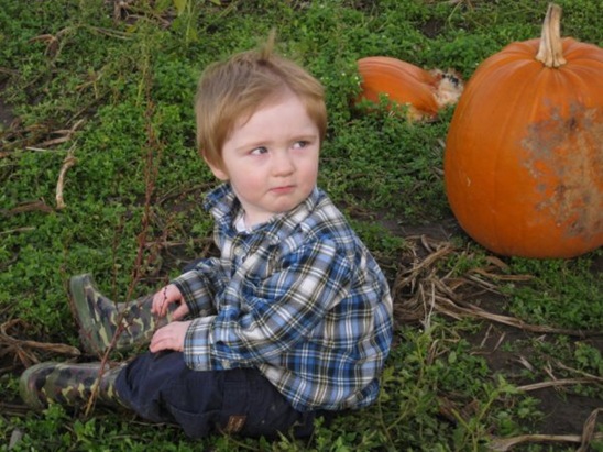 pumpkin patch and more 069