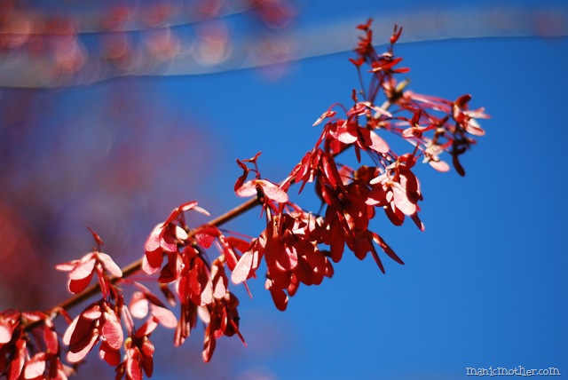 [DSC_08169.jpg]