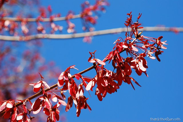 [DSC_08186.jpg]