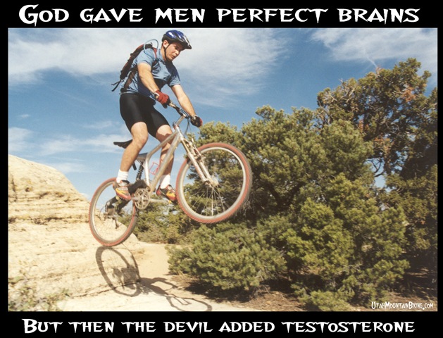 [TestosteroneHres4.jpg]