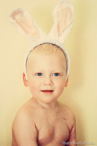 [bunny8.jpg]