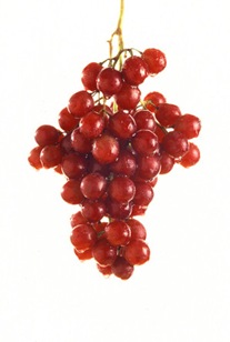 Red Grapes
