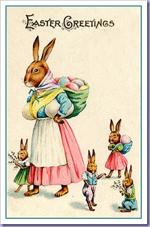 vinbunny