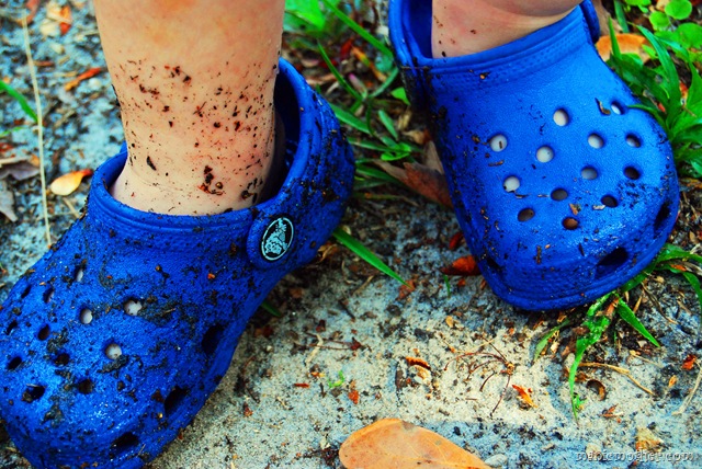 [crocs[3].jpg]