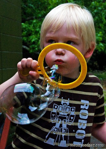 [robub[3].jpg]