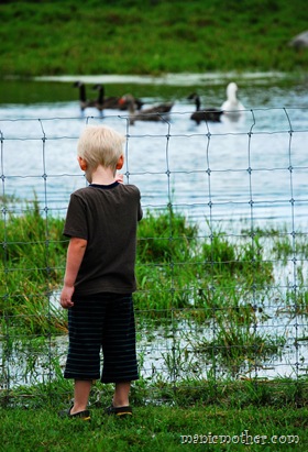 roduck