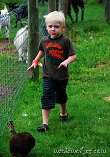 roduck2