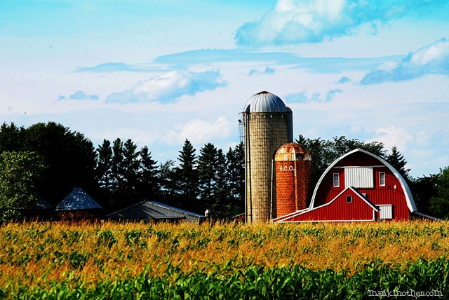 [barn11[6].jpg]