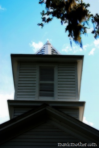 [micanopy027orton3.jpg]