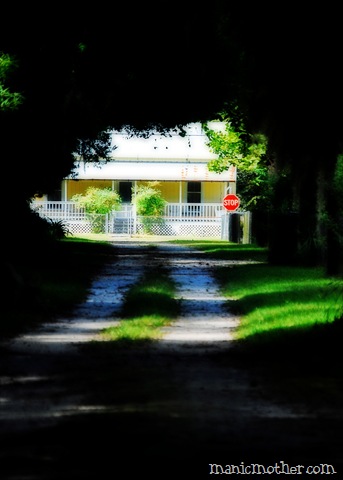 [micanopy025copy3.jpg]