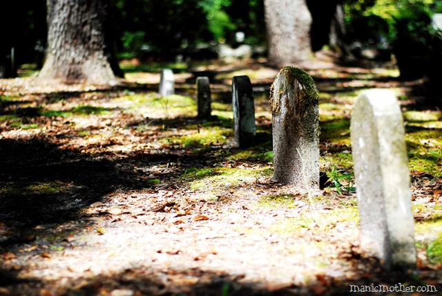 [micanopy2306.jpg]