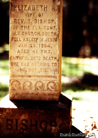 [micanopy325vc2.jpg]