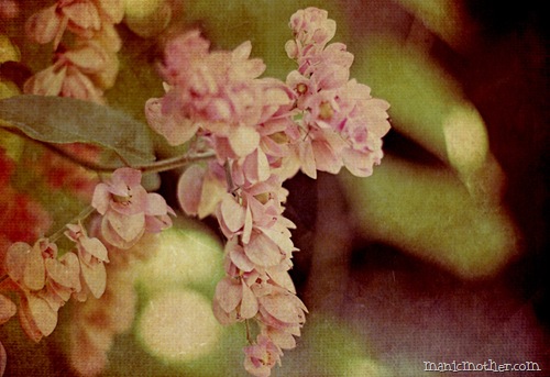 texturea