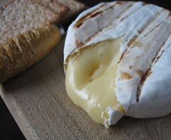 cheese