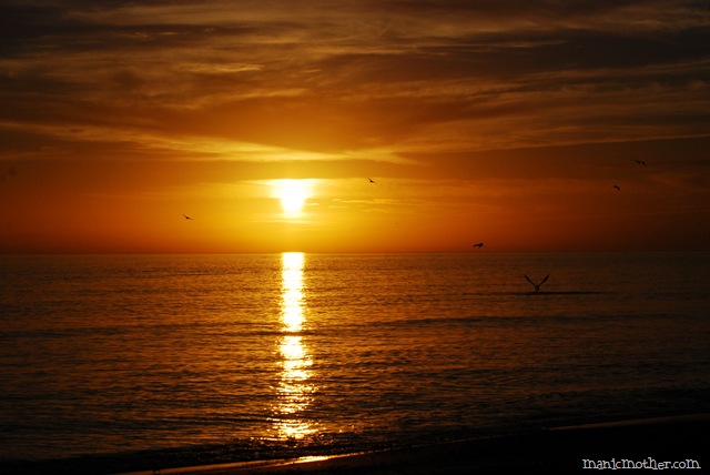 [sunset5[6].jpg]