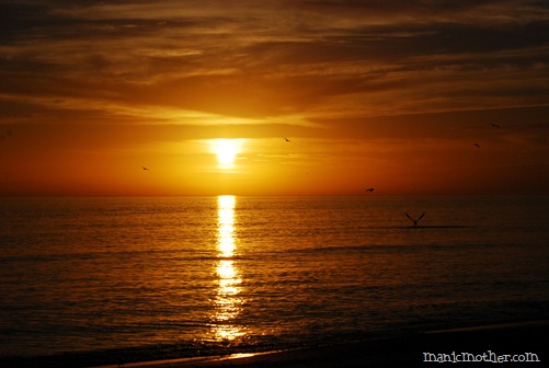 sunset5