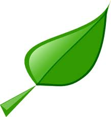 [leaf10.png]