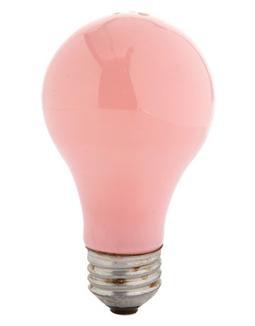 [pinque light bulb-Sylvania[4].jpg]