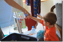 IMG_2354 IMG_2354