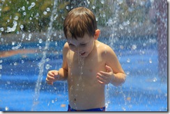 IMG_2432 IMG_2432