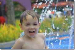 IMG_2438 IMG_2438