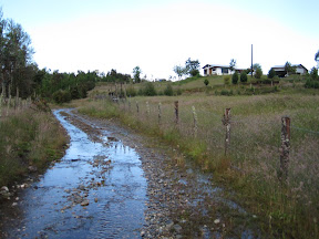 The creek/road heading up to our house