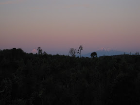 IMG_0305.JPG