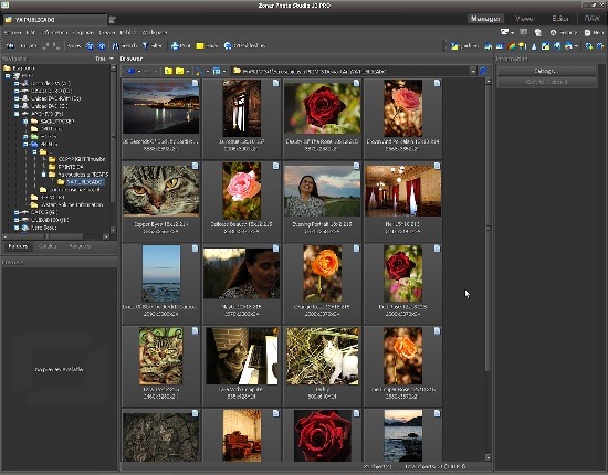 [zoner photo studio 13 pro[4].jpg]