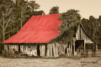 This is an old barn on Hwy 1 just out of Wake Forest, NC. I can never seem to pass by without stopping and looking at this. The bright red roof always seem to draw my eye. Original taken in color, changed to sepia and the red roof brought out. This is an old barn on Hwy 1 just out of Wake Forest, NC. I can never seem to pass by without stopping and looking at this. The bright red roof always seem to draw my eye. Original taken in color, changed to sepia and the red roof brought out.