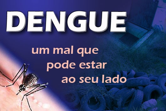 dengue 33