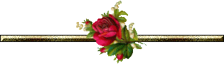 [barrinha de rosa[8].gif]