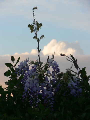 [P12800023.jpg]