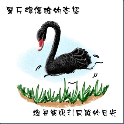 黑天鵝-0