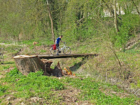 Riverside cycle path on the Loire